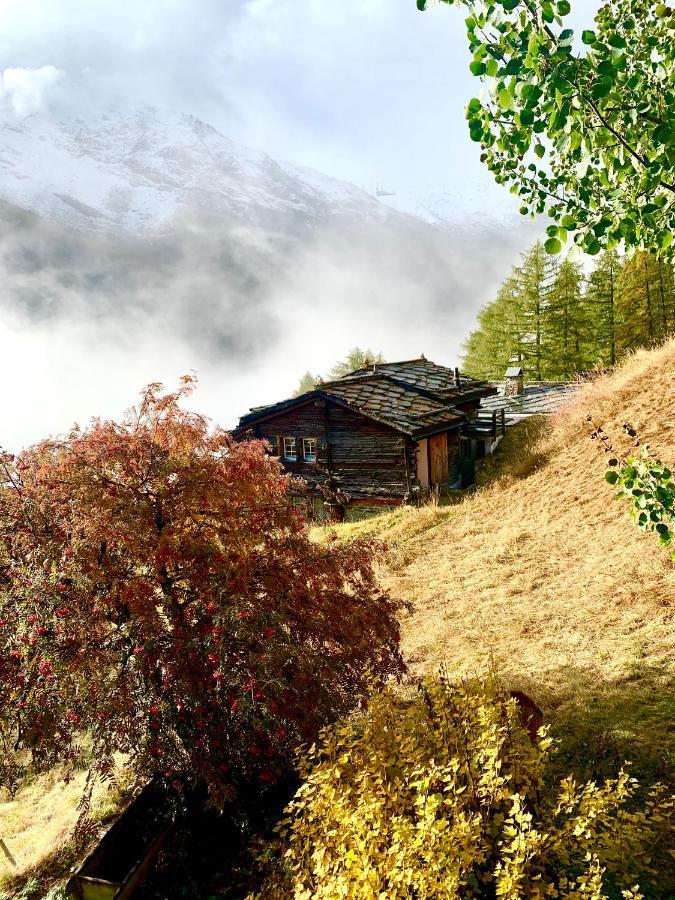 Chalet Birkhahn Зас-Фе Екстер'єр фото