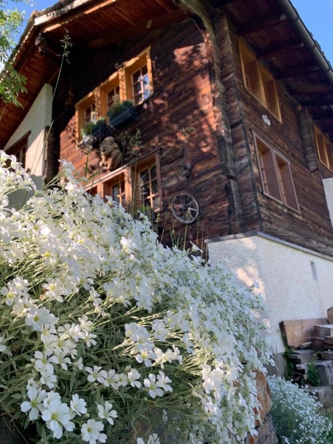 Chalet Birkhahn Зас-Фе Екстер'єр фото